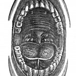 singing tongue 3