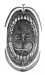 singing tongue 3