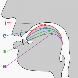 singing tongue vowel positions